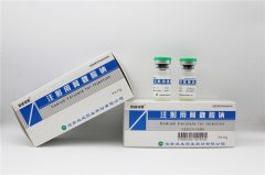 注射用阿魏酸鈉